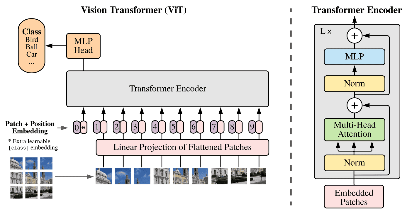 Step-by-Step: Vision Transformer