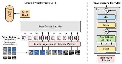 Step-by-Step: Vision Transformer